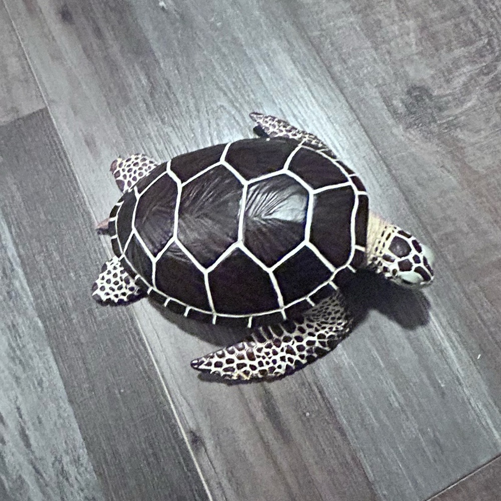 Safari Ltd. Sea Turtle Figurine - Detailed 8.25" Plastic Model hg 102 flawed